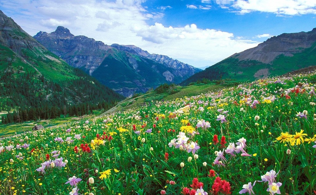 青島廢品回收，環(huán)境治理